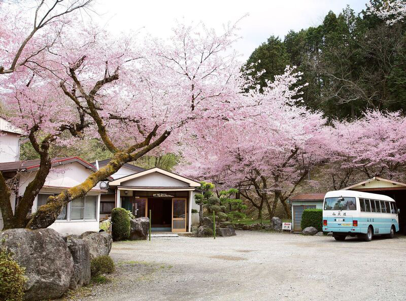 桜満開の山久荘